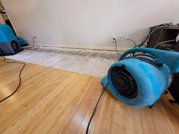 Professional Water Damage Repair technician working in Watchung, NJ